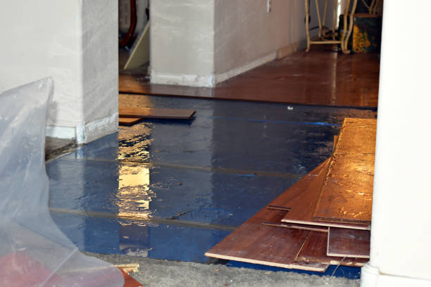 Professional Sewage Cleanup technician working in Lavon, TX
